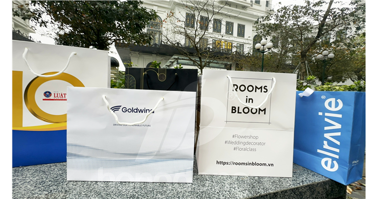 Đặt In Túi Giấy - 5 Lưu Ý Không Thể Bỏ Qua 