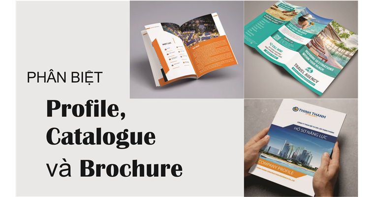 Phân biệt ấn phẩm Profile, Catalogue và Brochure