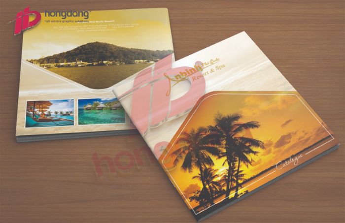 Top 6 mẫu catalogue công ty du lịch