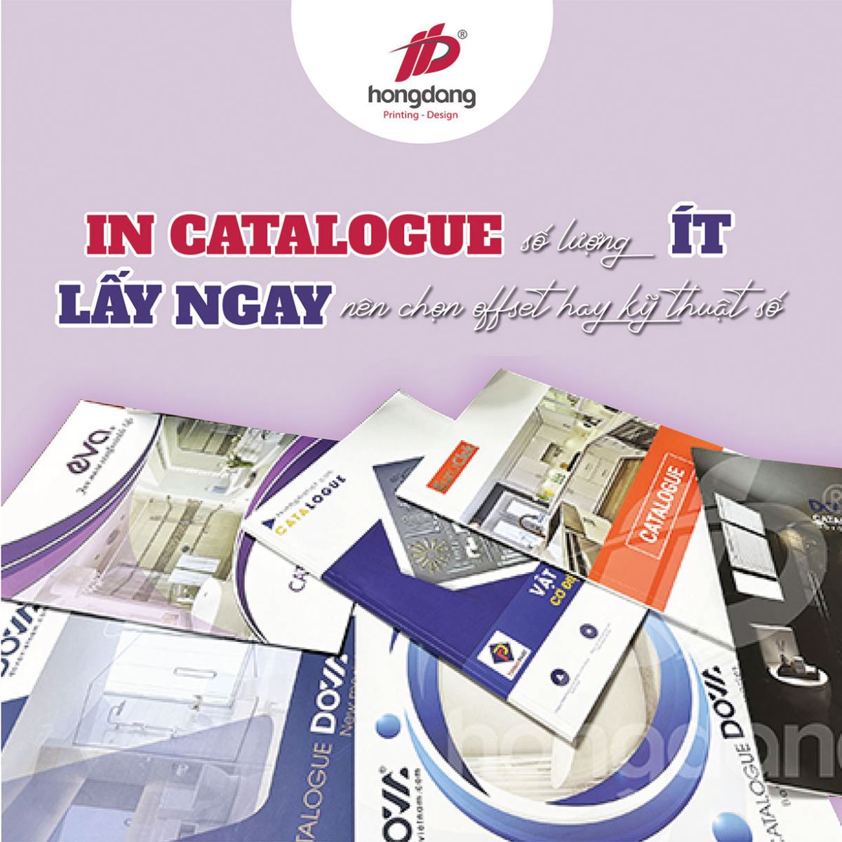 in catalogue số lượng ít, in catalogue lấy ngay, in catalogue kỹ thuật số, 