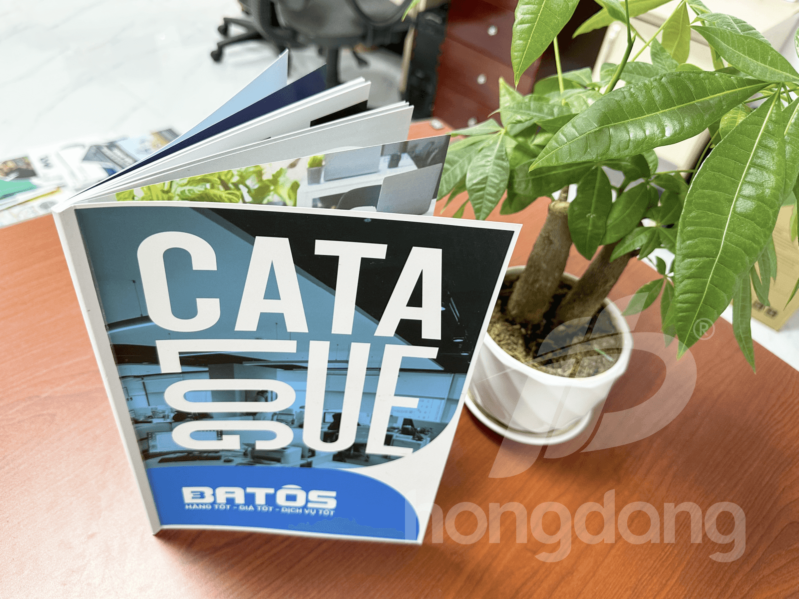 bìa catalogue đẹp